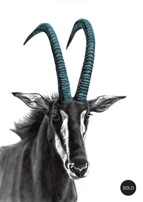 SableMaster2