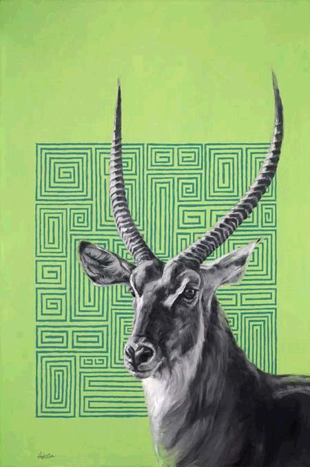 Waterbuck676