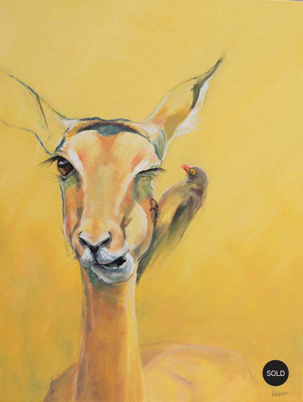 impala