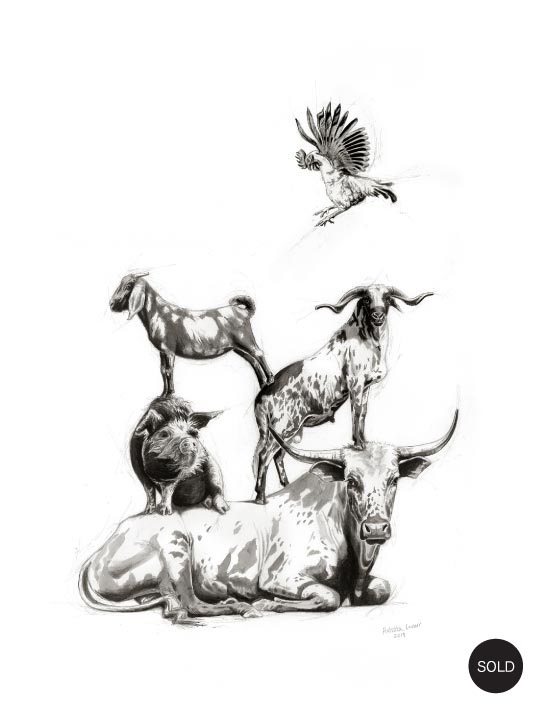 southafricanpileup