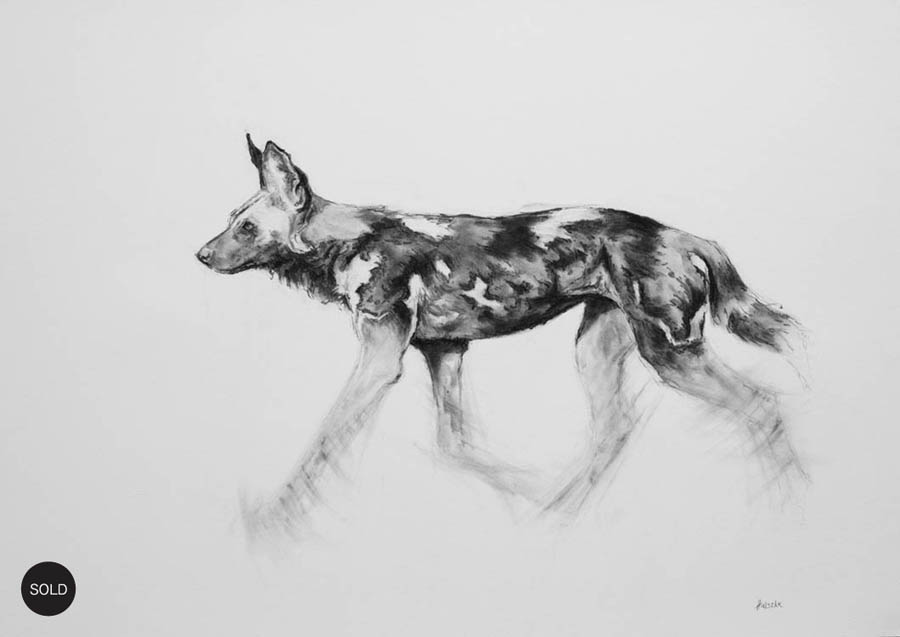 wilddogonthemove