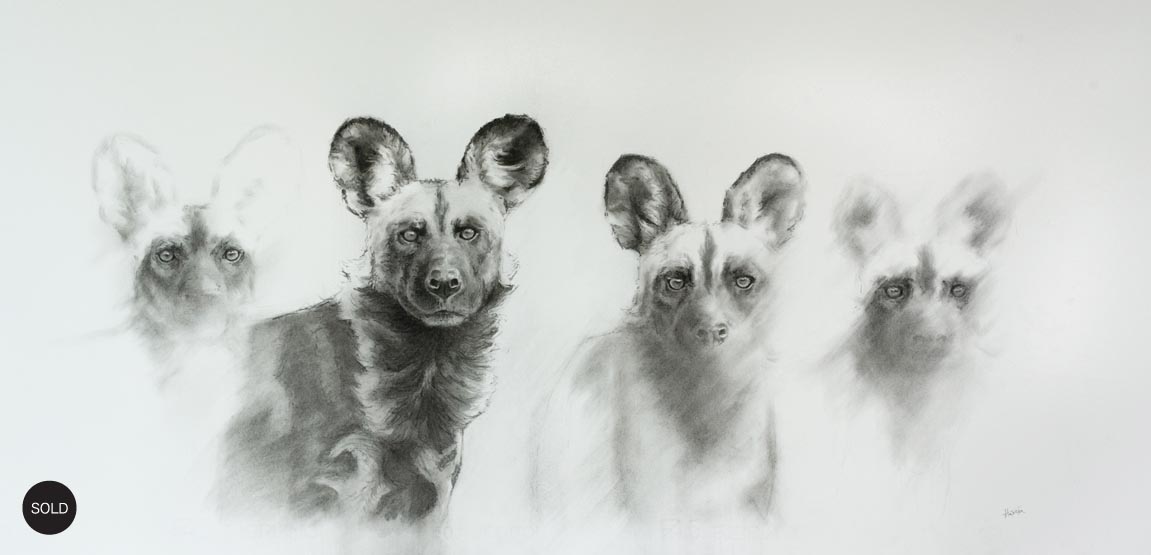 wilddogs2