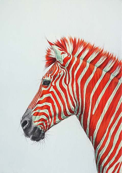 zebrared